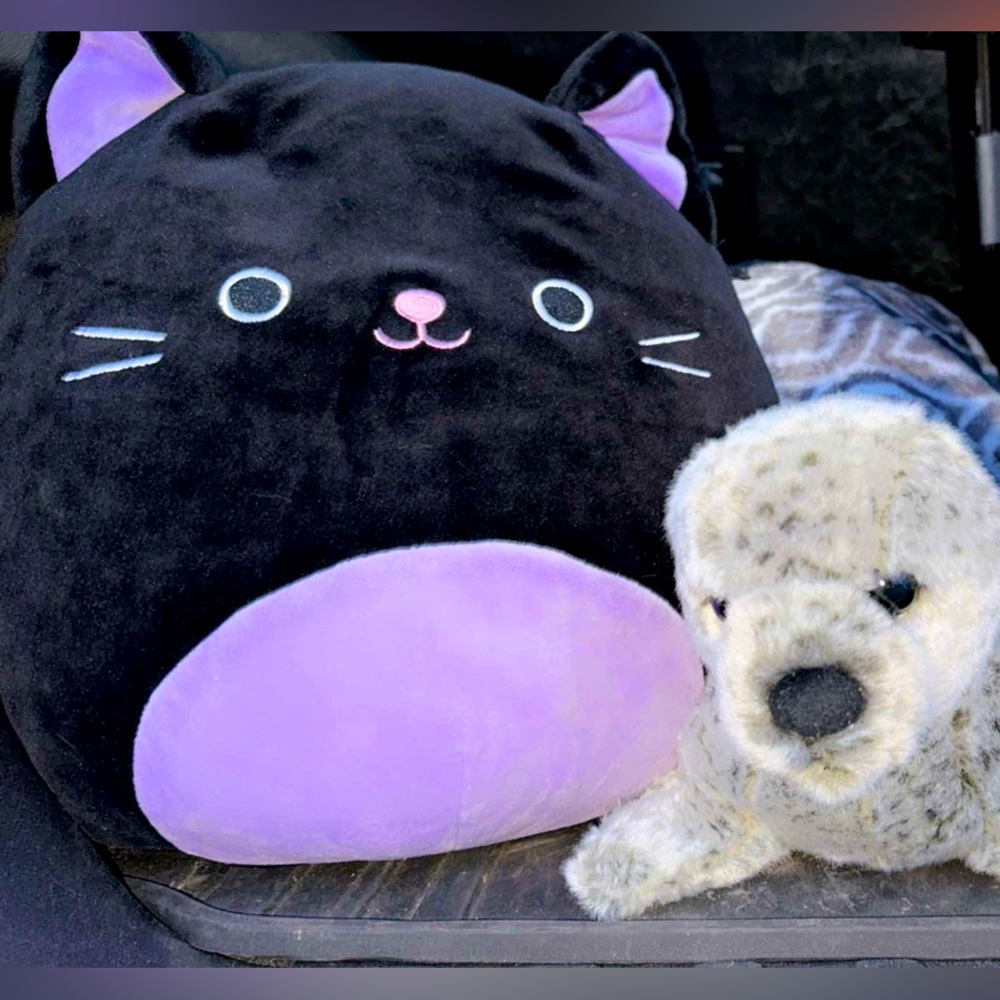 Cat Squishmallow